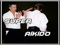 Super Aikido
