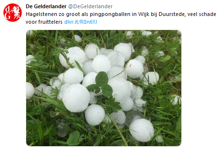 https://www.gelderlander.nl/utrecht/hagelstenen-zo-groot-als-pingpongballen-in-wijk-bij-duurstede-veel-schade-voor-fruittelers~a7052a66/