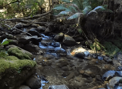 how to find gold in creek