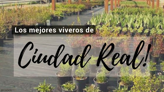 Comprar Plantas Online en Ciudad Real, España