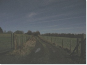moonlit track