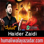 http://www.humaliwalayazadar.com/2016/09/haider-zaidi-nohay-2017.html