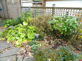 Toronto Gardening Services Leslieville Backyard Garden Fall Clean up before by Paul Jung