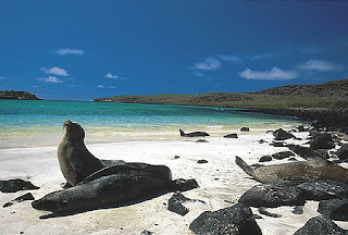 Galapagos Islands