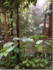 IMG_1687