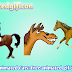 500+ Horse running Pictures | horse riding funny gifs [High Resolution Animated Images download free ]