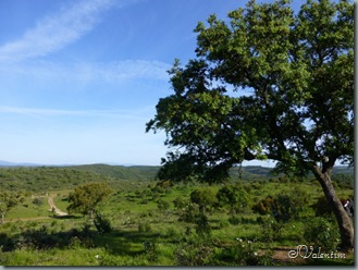 P1020794