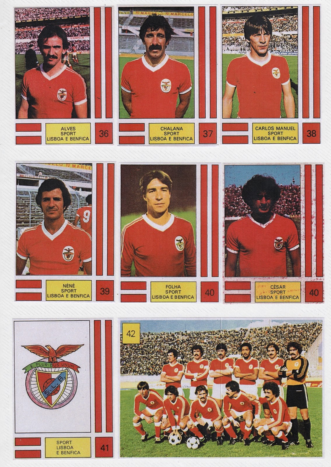 S.L.Benfica Mística e Alma Vermelha: Cromos Sport Lisboa e Benfica 1980/1981