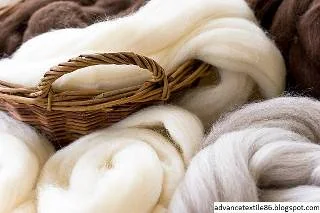 Wool fiber