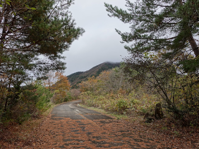 グランソール大山希望ヶ丘 管理用道路