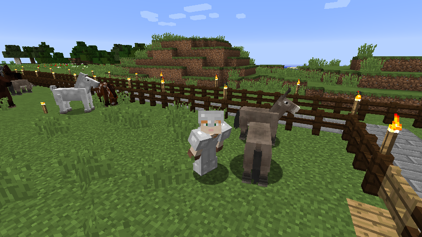 マインクラフト ロバにチェストを付けてたくさんの荷物を運ぶ方法 マイクラマルチプレイ日記ブログ