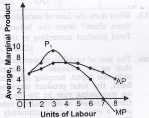 Solutions Class 12 Micro Economics Chapter-5 (Production)