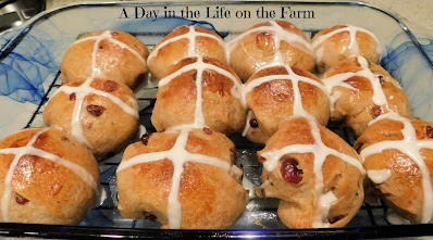 Hot Cross Buns