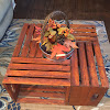 Coffee Tables Made From Crates / How to Make a Crate Coffee Table / 5 out of 5 stars.