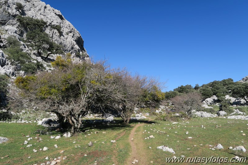 Circular Benaocaz - Caillo - Dornajo - Encinarejo - Puerto Don Fernando