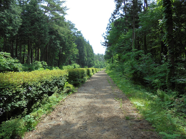 ロイヤルホテルの歩道