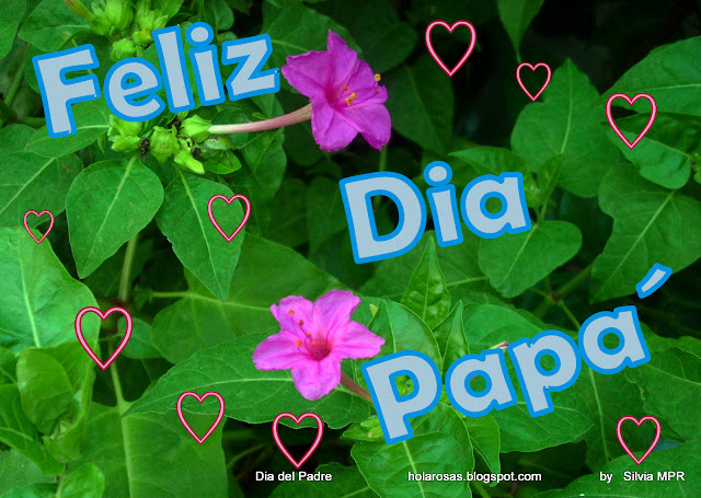 dia del padre felicidades regalos en obsequios virtuales con flores naturales de la naturaleza para celebrar el dia para papa´