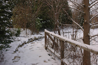 Path in winter, Roche Fleurie Garden