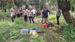 Geger! Diduga Bunuh Diri akibat Terlilit Hutang Seorang Pria Ditemukan di Perkebunan Sawit Pasaman Barat