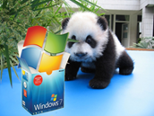 pandaSecurity2010
