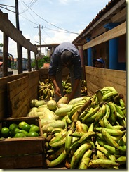 cuba 254