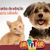 Carioca Shopping promove Campanha de Adoção de Animais dia 3 de junho