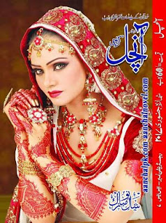 Free Download Aanchal Digest January 2017