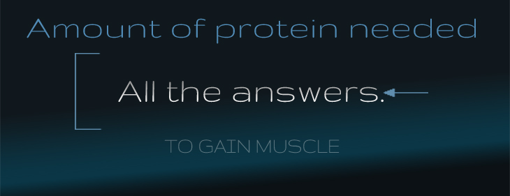 A clear image that has the words 'Amount of protein needed to gain muscle, all the answers'