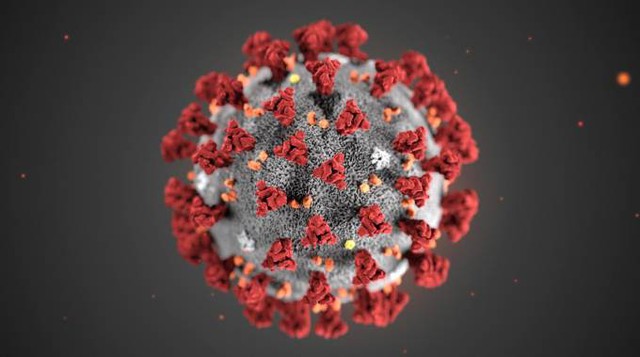 Coronavirus: meno di mille i pazienti ricoverati