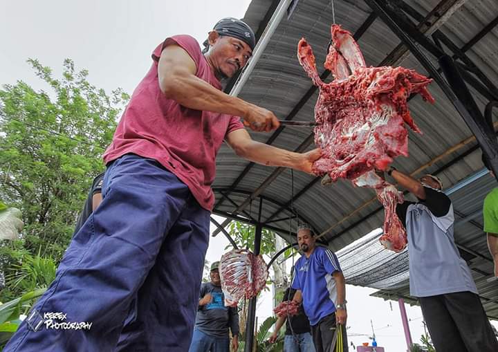 CARA PEMBAHAGIAN DAGING KORBAN