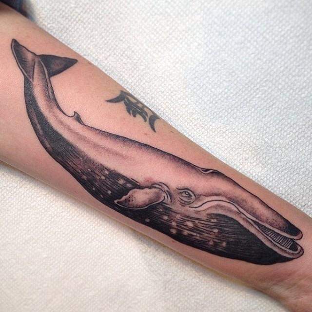 Tatuagem de baleia - 47 ideias masculinas