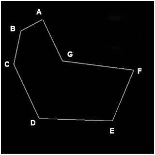 Hình minh họa sử dụng công cụ Polygonal Lasso