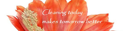 Cleaning today makes tomorrow better