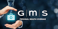 GMS Insurance Review