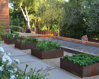 Planters Decoration and Design