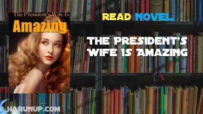 The President's Wife Is Amazing Novel