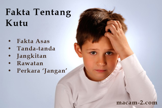 Fakta Tentang Kutu: Fakta Asas, Tanda-tanda, Jangkitan, Rawatan, Jangan.