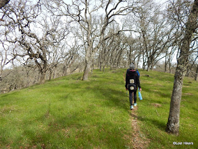 Tule Pond Trail in Henry W Coe State Park