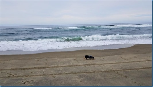 20180825_105722 (Small)