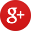 SEO Services Mumbai Google Plus