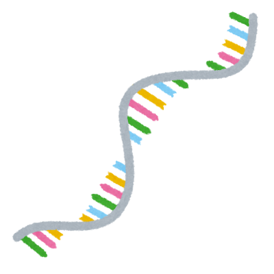 RNAのイラスト