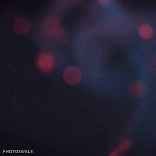 Download free good morning gif images online, English gifs photos for texting, ppt, WhatsApp, Facebook, Telegram, YouTube and other social media apps platforms on photoswale.com