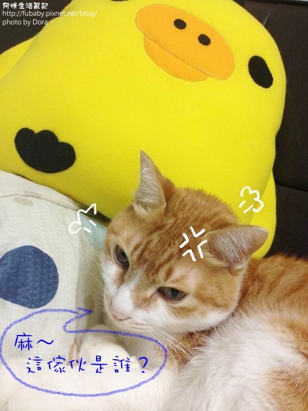 調整大小IMG_5977
