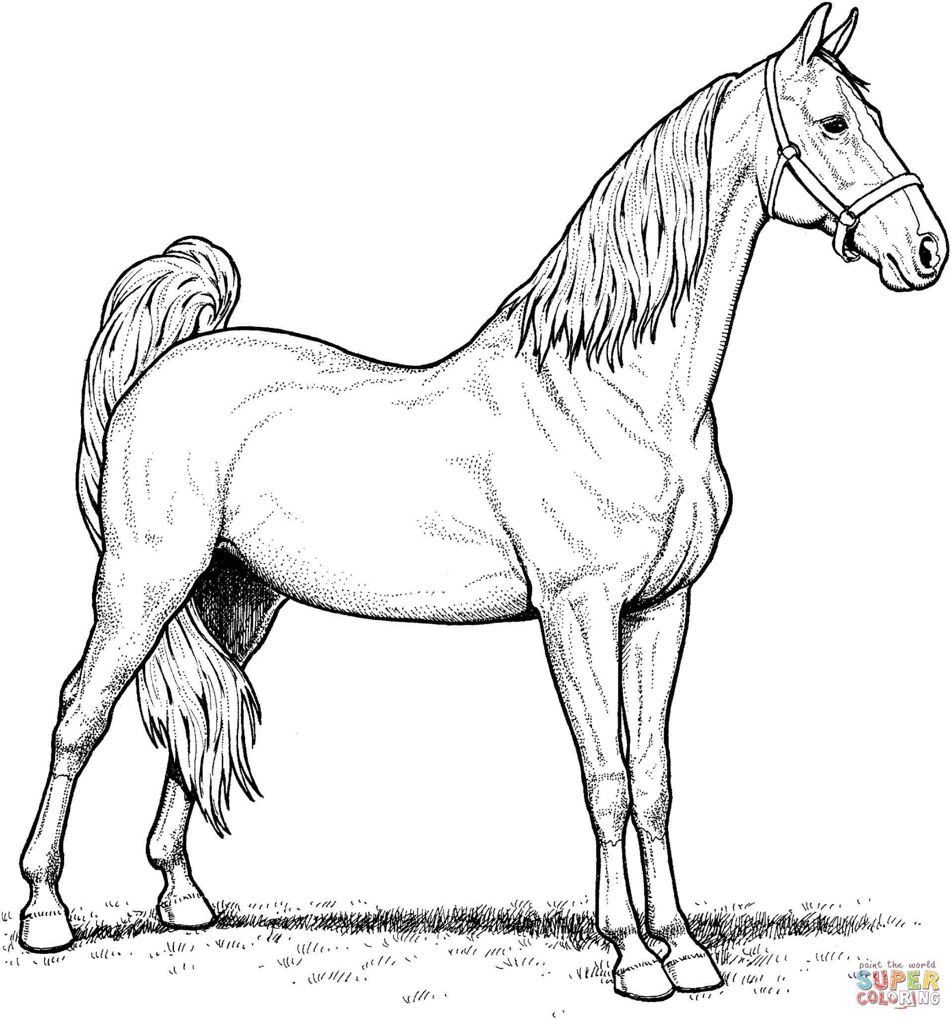 Horses Coloring Pages Free Book Real