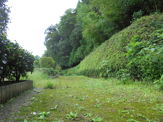 上淀廃寺跡に向かいます