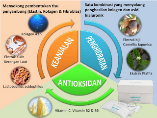 khasiat collagen