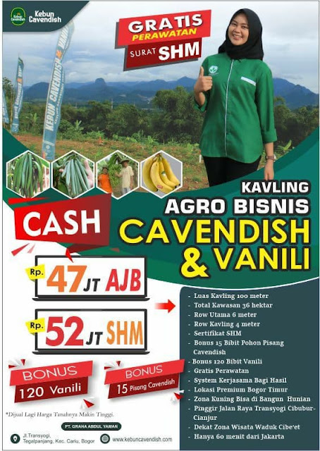 Bukit villa cavendish kavling produktif  buah pisang dan Vanili