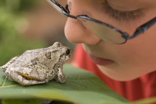 branches of biology