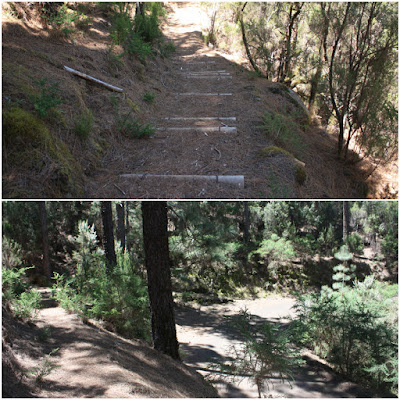 GR-131 - TRAMO 3 LA ESPERANZA (EL ROSARIO) AL ÁREA RECREATIVA DE LA CALDERA (AGUAMANSA - LA OROTAVA), sendero entre el cortafuegos de El Gaitero y la Pista Lomo Atravesado