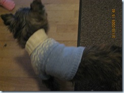 Picture 005